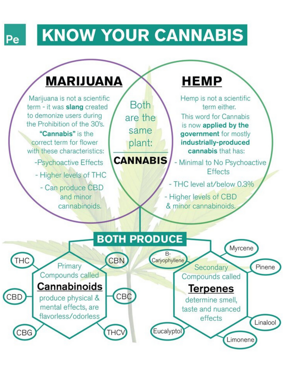 Know Your Cannabis Simply CBD LLC