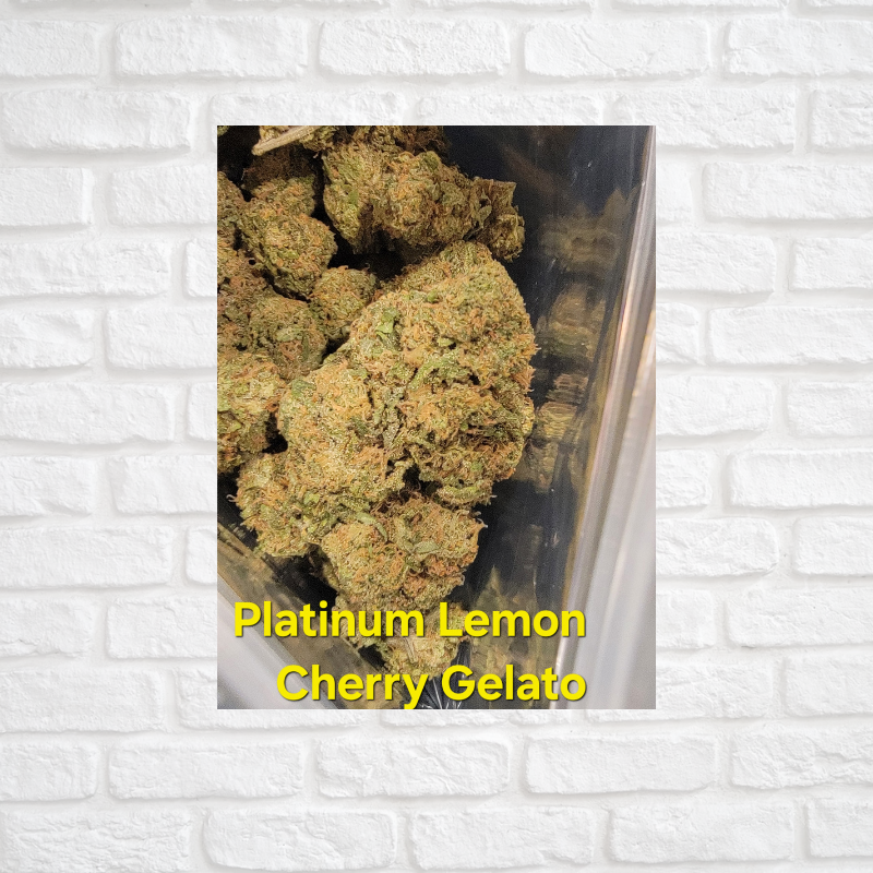 Platinum Lemon Cherry Gelato Simply CBD LLC